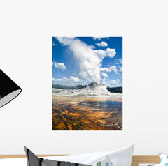 Castle Geyser Yellowstone Wall Mural