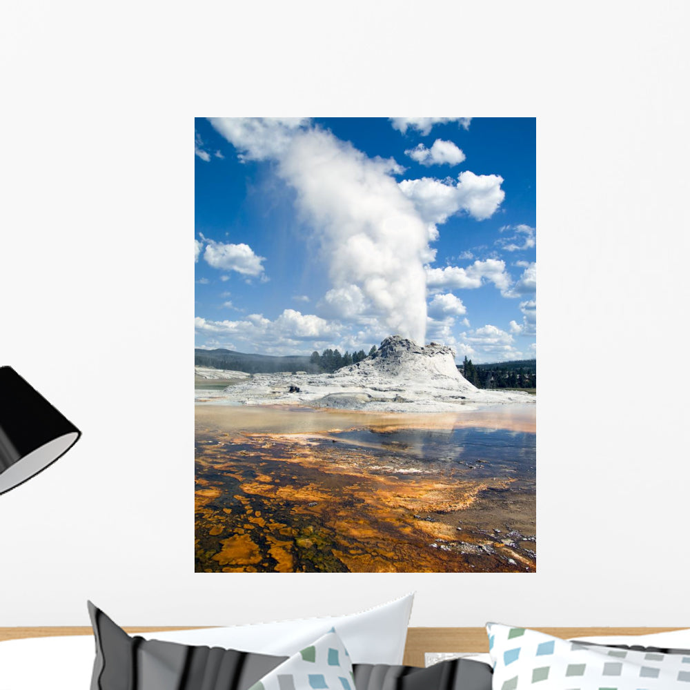 Castle Geyser Yellowstone Wall Mural