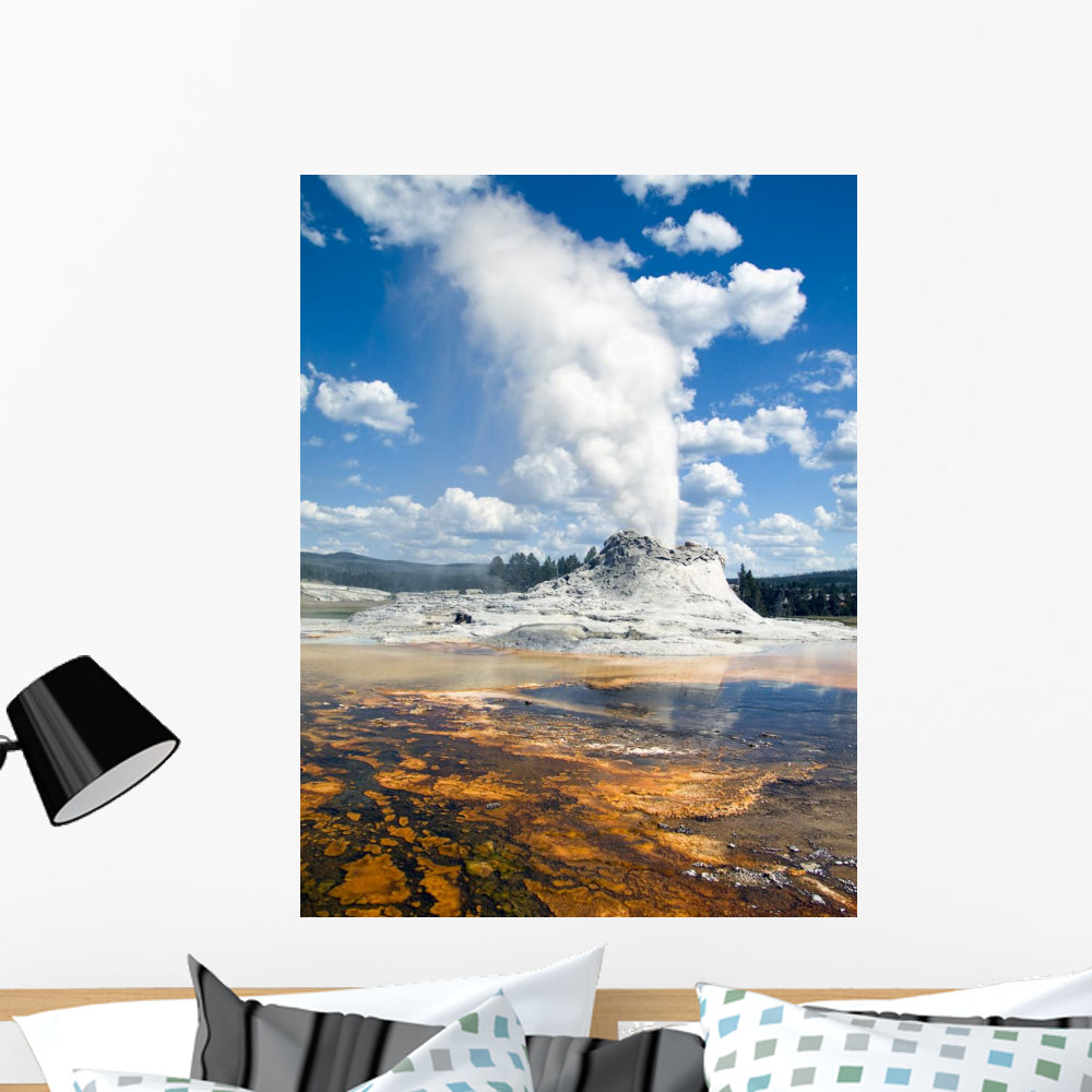 Castle Geyser Yellowstone Wall Mural