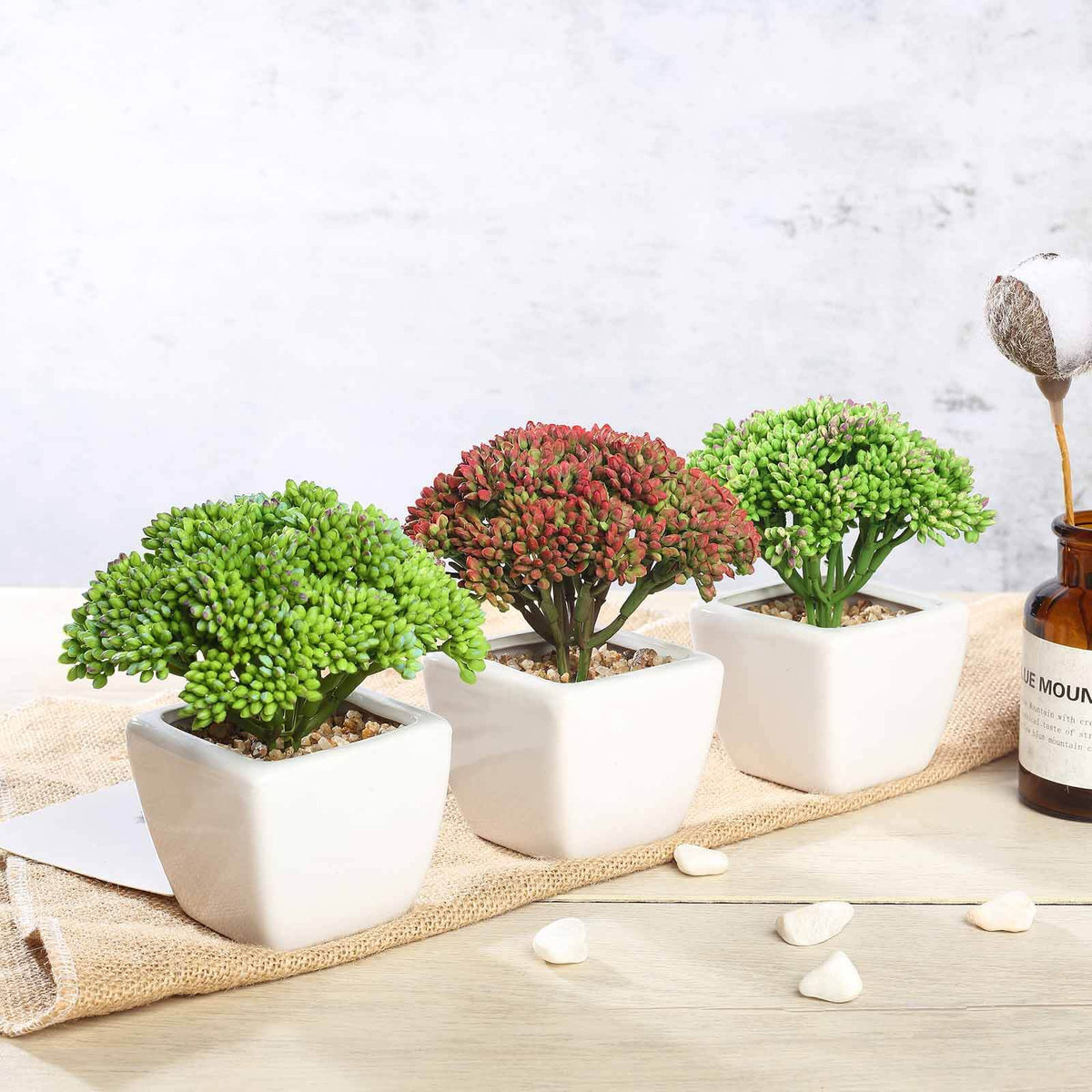 Artificial succulent plants in white pots, perfect for home decor.