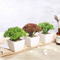 Artificial succulent plants in white pots, perfect for home decor.