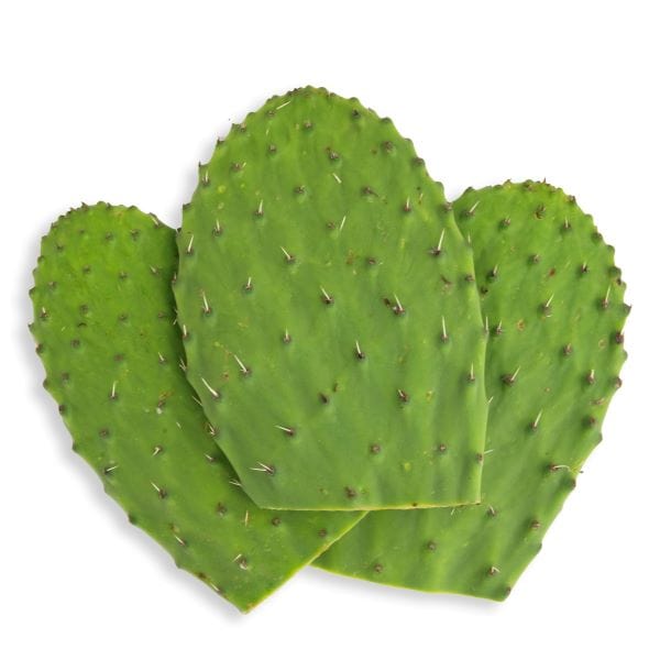 Cactus Leaves (Nopales)  on a white surface