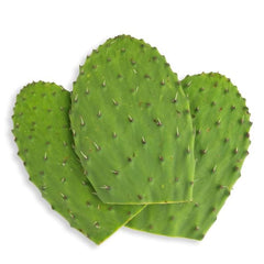 Cactus Leaves (Nopales)  on a white surface