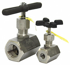 Apollo Globe Valve, FNPT x FNPT, 316 Stainless Steel, 3/4 in Pipe Size - Valves - 60A70424