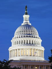 U.S. Capitol dome