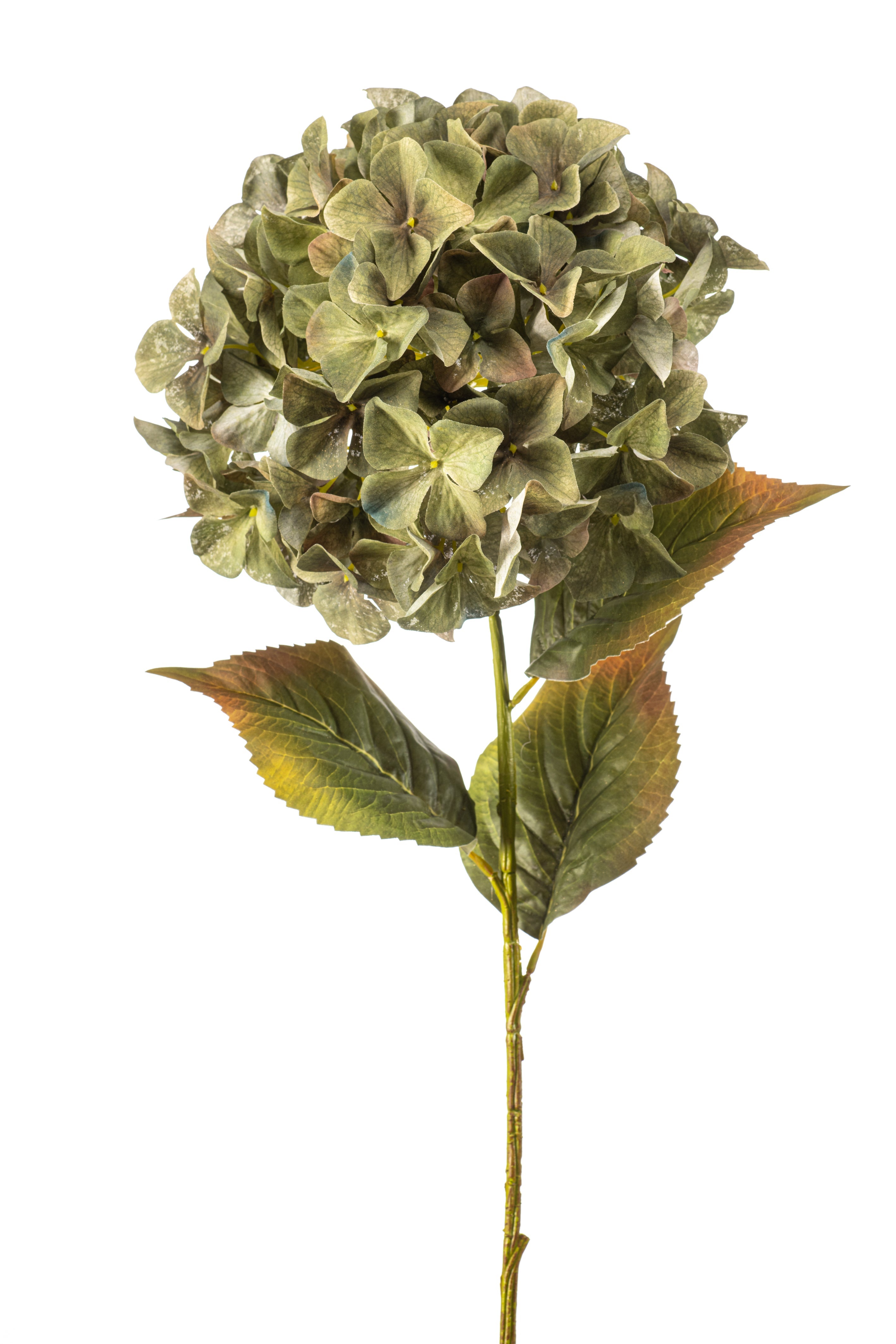 Hortensie XXL künstlich - 1 Kopf - Grün