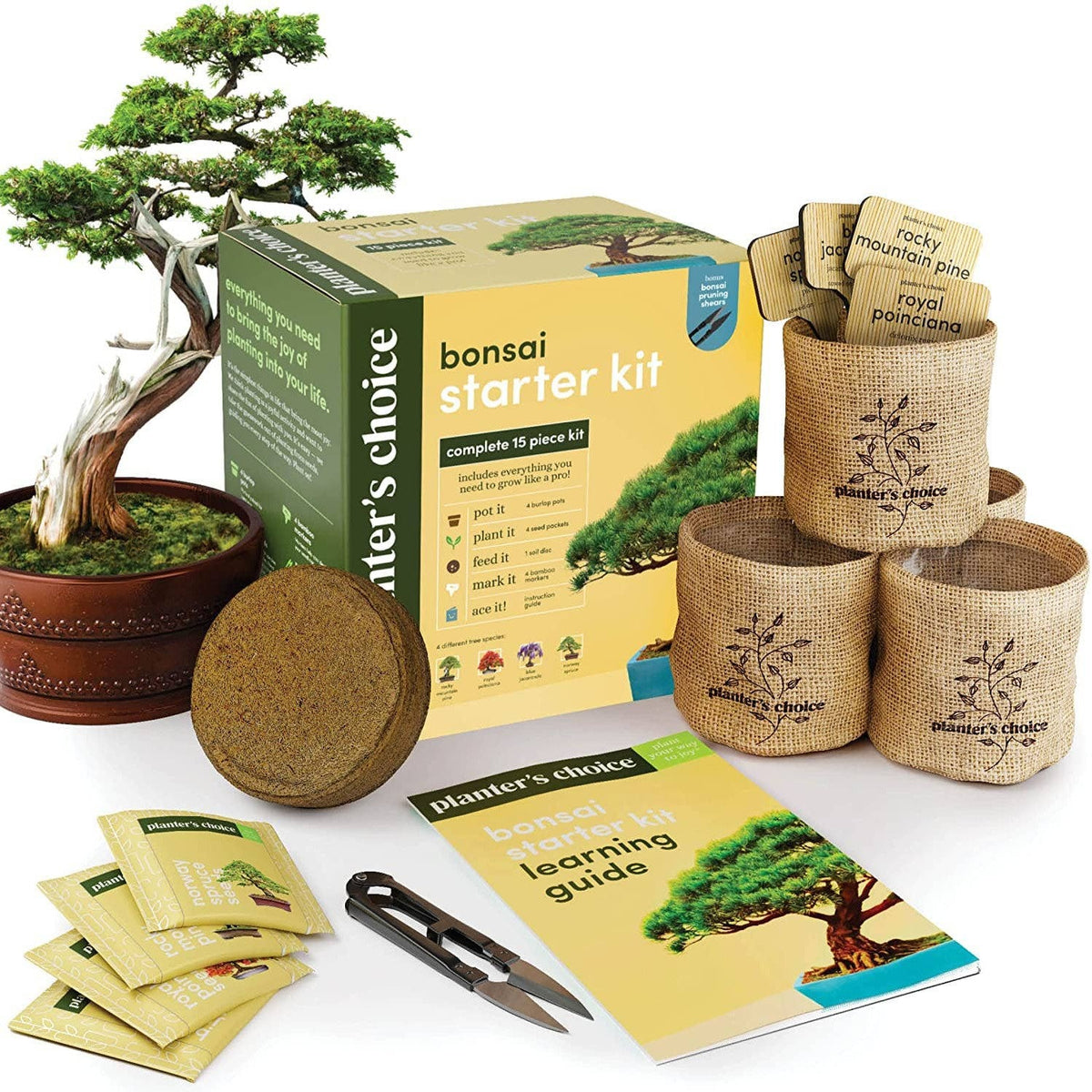 Bonsai - Starter Kit