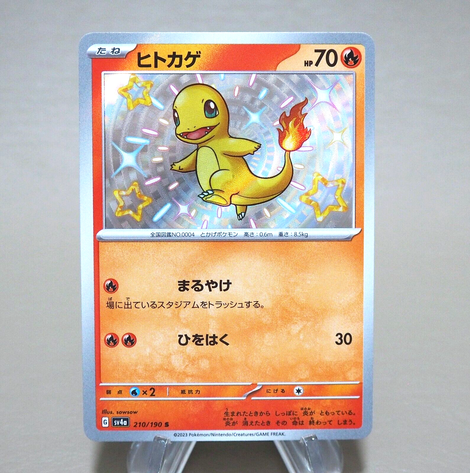 Pokemon Card Charmander 210/190 SV4a Holo Rare 2023 M-NM Japanese k926 | Merry Japanese TCG Shop