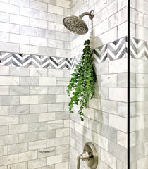 The Original Shower Eucalyptus™