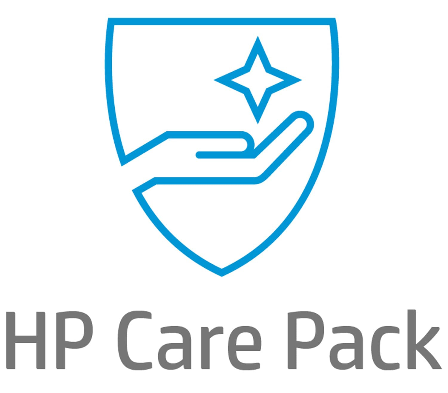 HP 5 jaren Volgende Werkdag Ter Plaatse Hardwareondersteuning
