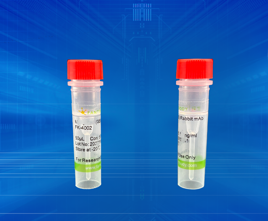 MTX3 (H10) Rabbit mAb