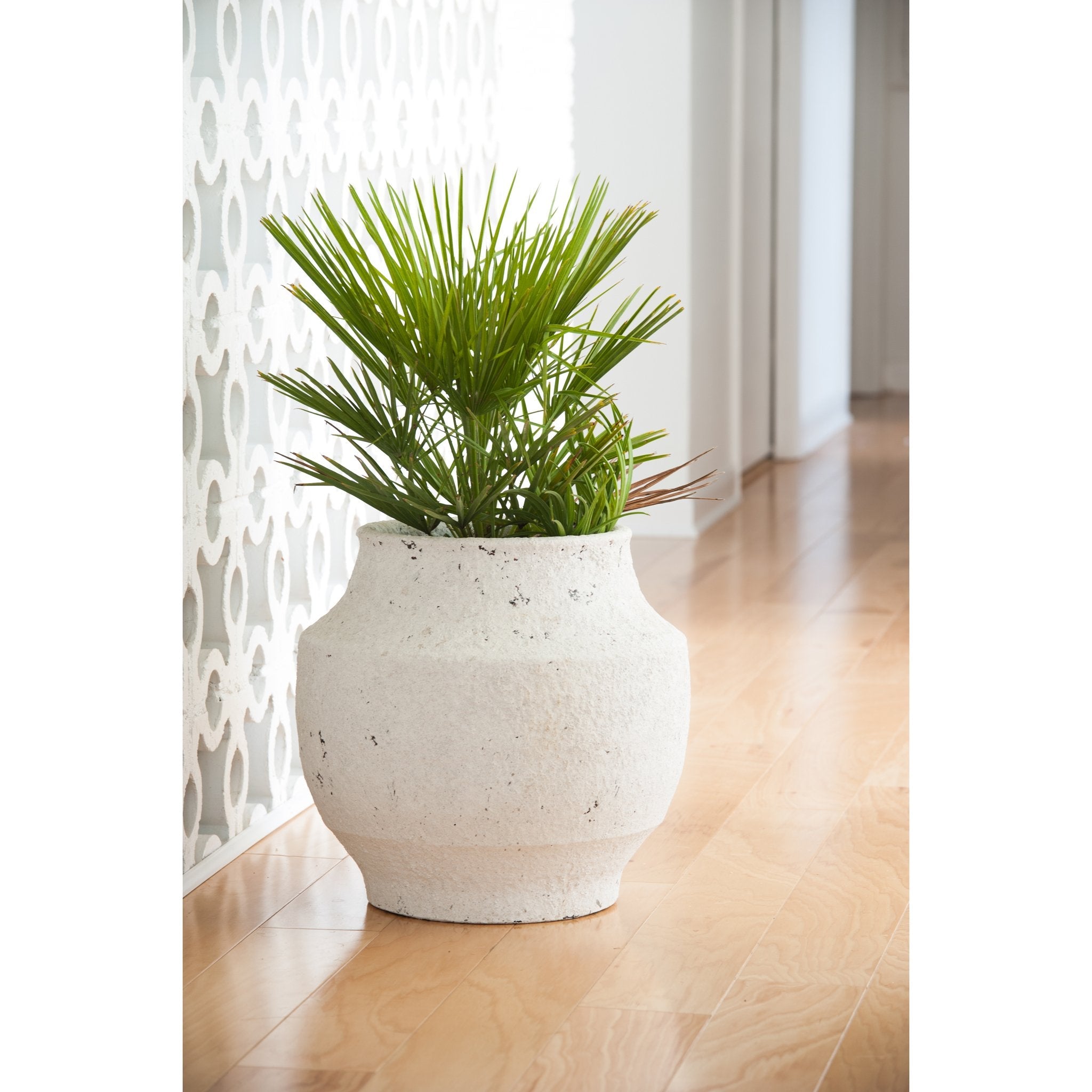 717813 Abigails Wholesale Home Décor Ceramics and Terra Cotta Planters White Washed Finish Ceramic Pot Small