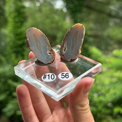 Malawi Agate-Ngabu Malawi - F10 - #10
