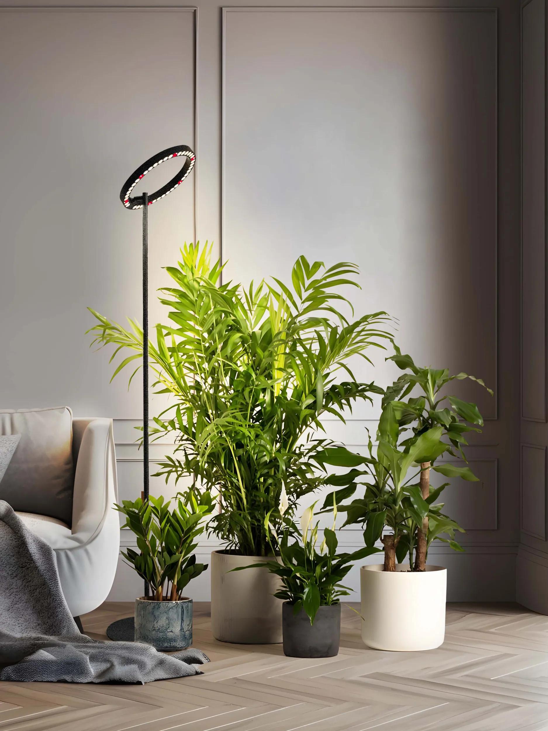 || https://assets.gardeners.com/transform/50b867e2-027d-4228-a471-fc9e095c332d/8615144_PL