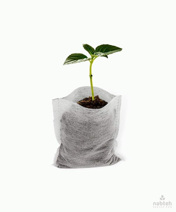 Plant Nursery Bags seeds