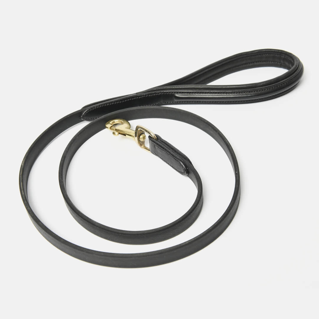 ALBION dog lead black