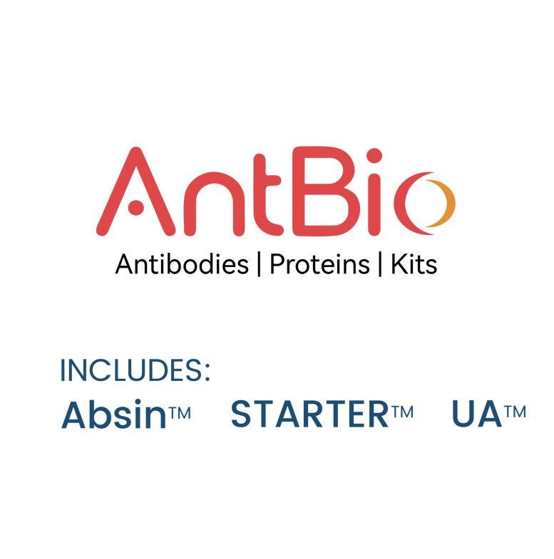 Human Cyclin D1 ELISA Kit