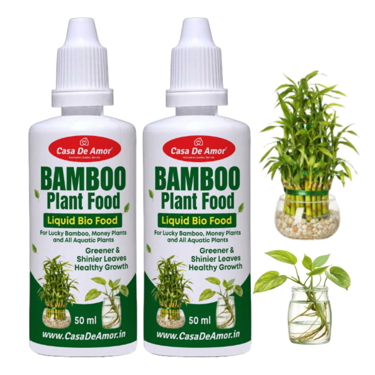 Casa De Amor Bamboo Plant Food for Lucky Bamboo & Money Plants | 2 x 50ml (100ml Total)