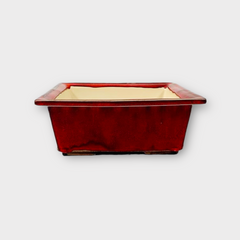 Bonsaischaal van Frank Müller. De schaal is rood van kleur, is geglazuurd en is vierkant, 19 x 19 x 7,5 cm
