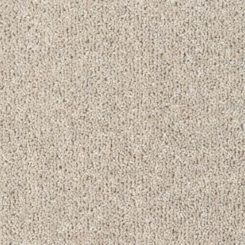 Cream Carpet Flooring