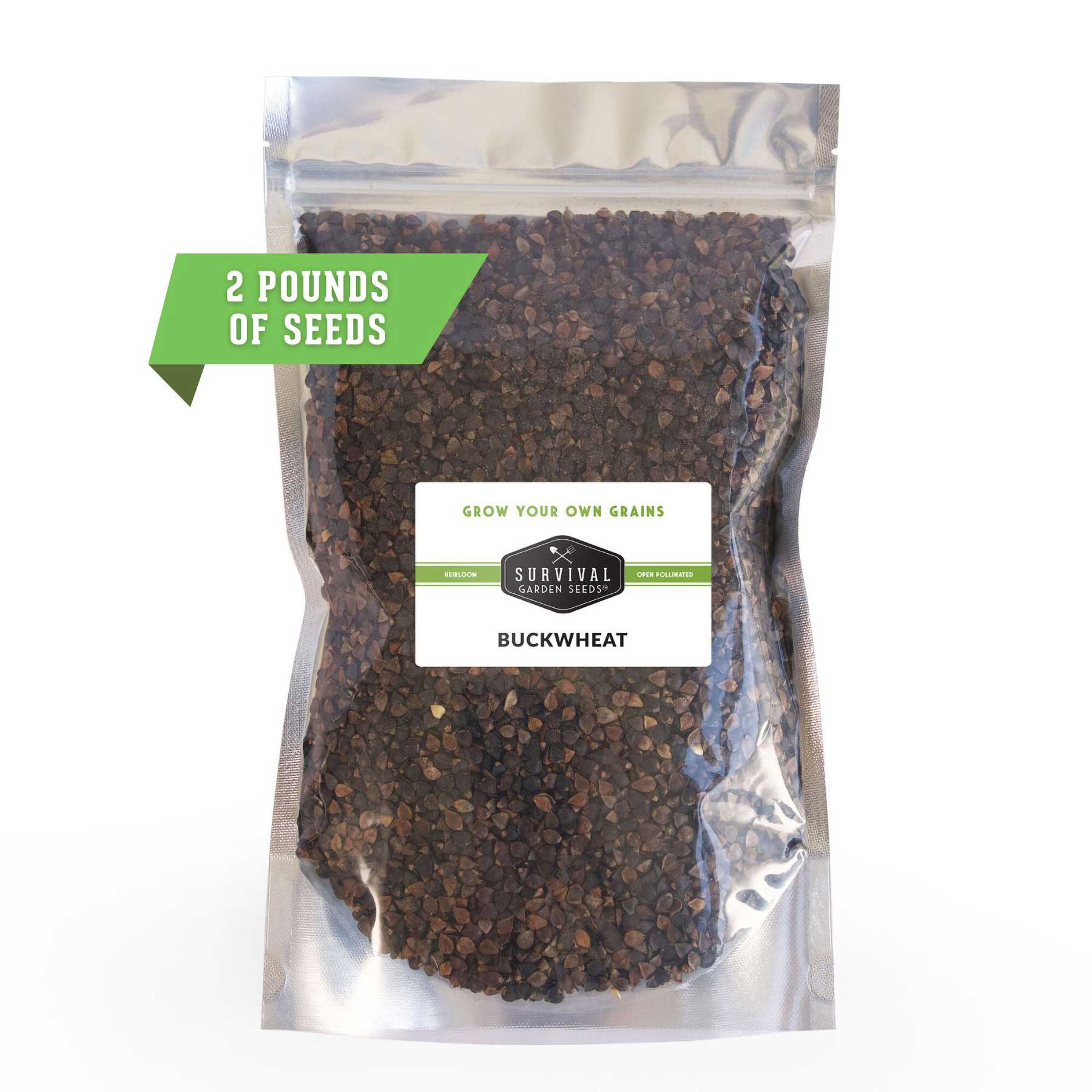 2lbs of bulk buckwheat seed
