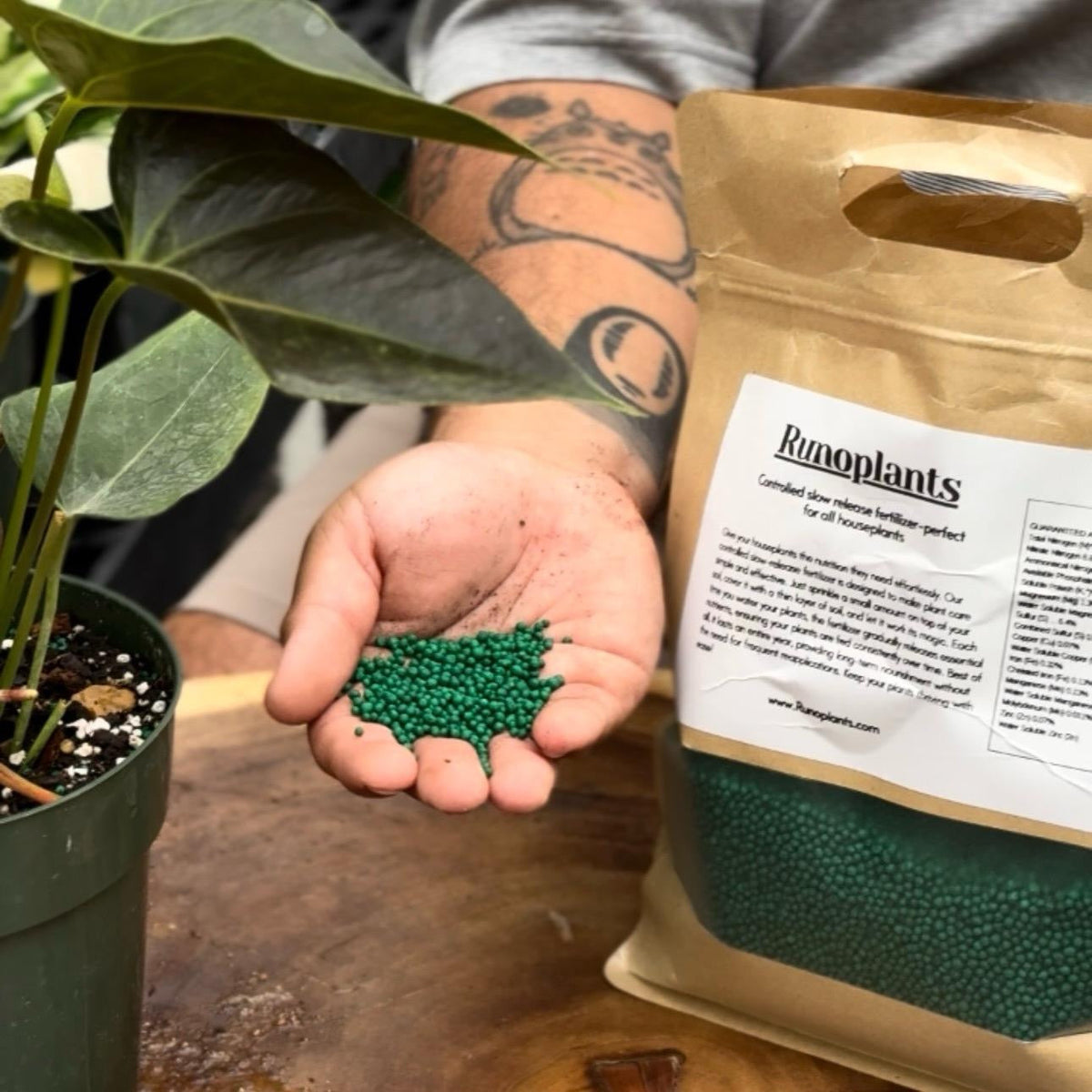 Slow Release Fertilizer