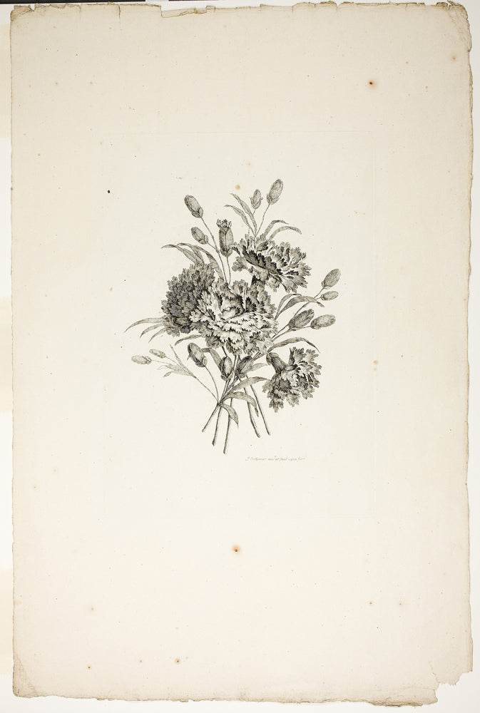 Bouquet with Carnations, from Collection of Different Bouquets of Flowers, Invented and Drawn by Jean Pillement and Engraved by P. C. Canot by Pierre-Charles Canot