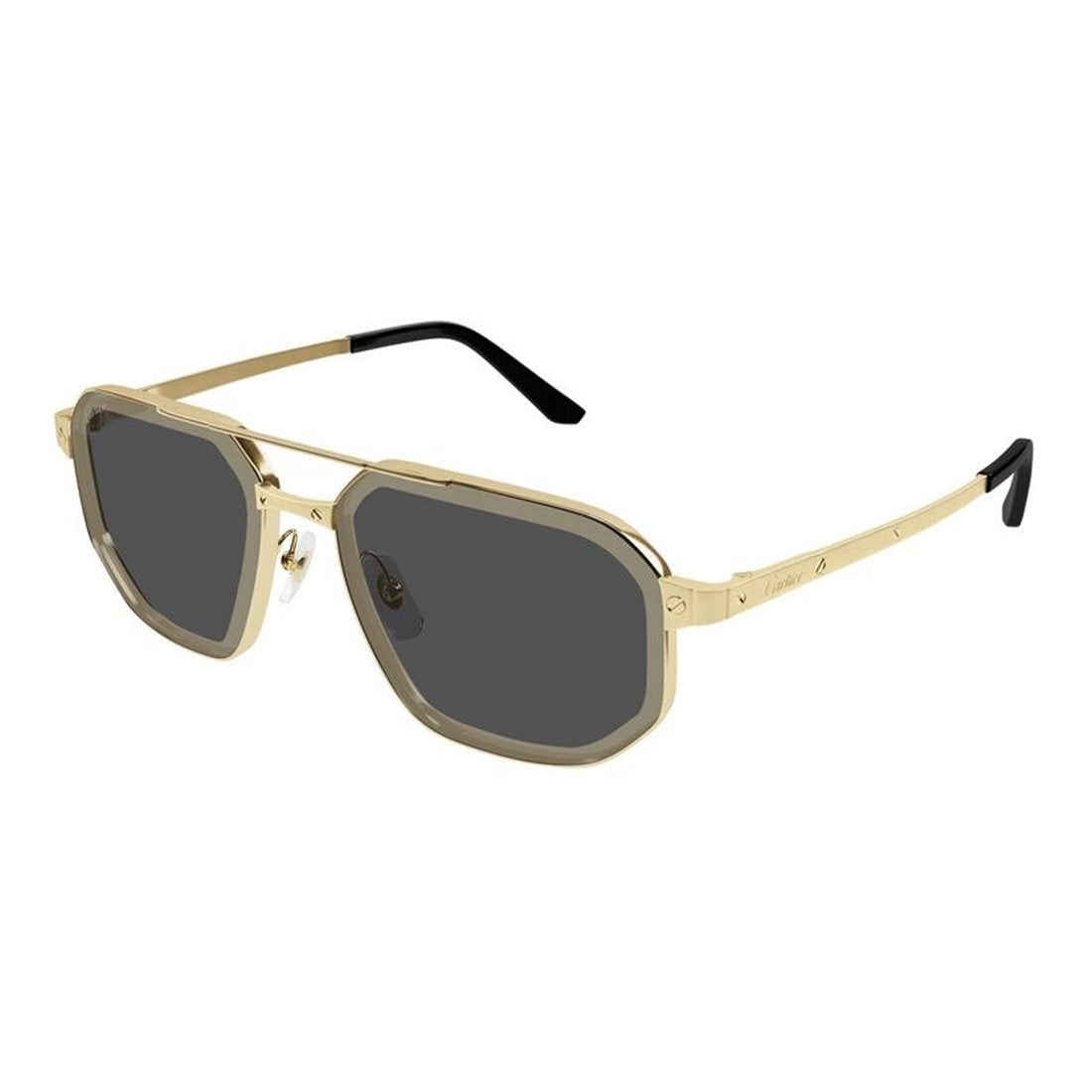 Cartier CT0462S 005