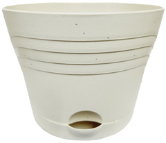Self Watering Plant Spa by Misco 6in