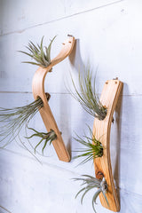 bent wood vertical wall hanging
