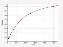 Rat PPP1R15A (Protein phosphatase 1 regulatory subunit 15A) ELISA Kit
