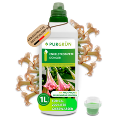 Engelstrompete-Dünger 1 Liter