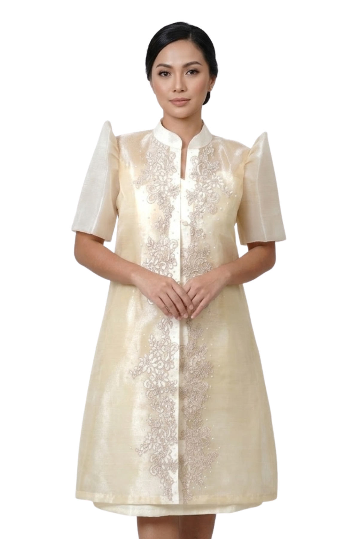 Filipiniana Barong Dress
