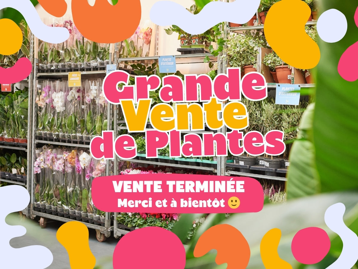 GRANDE VENTE DE PLANTES VERSAILLES