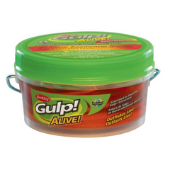 Berkley Gulp Alive 1/2 Børsteorm 6''
