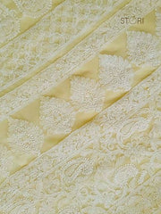 Lime Green Adah Half Jaal Hand Embroidered Lucknowi Chikankari Saree