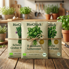 Bio-Saatgut Küchen-Trio – 3er Set mit Basilikum, Petersilie und Schnittlauch in Graspapier-Tüten von BioGlück