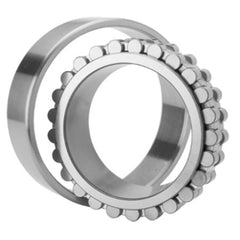 NN 3019 TN9/SP SKF Cylindriskt Rullager 95x145x37 SKF