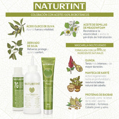 Naturtint 08A Rubio Ceniza Hair Color