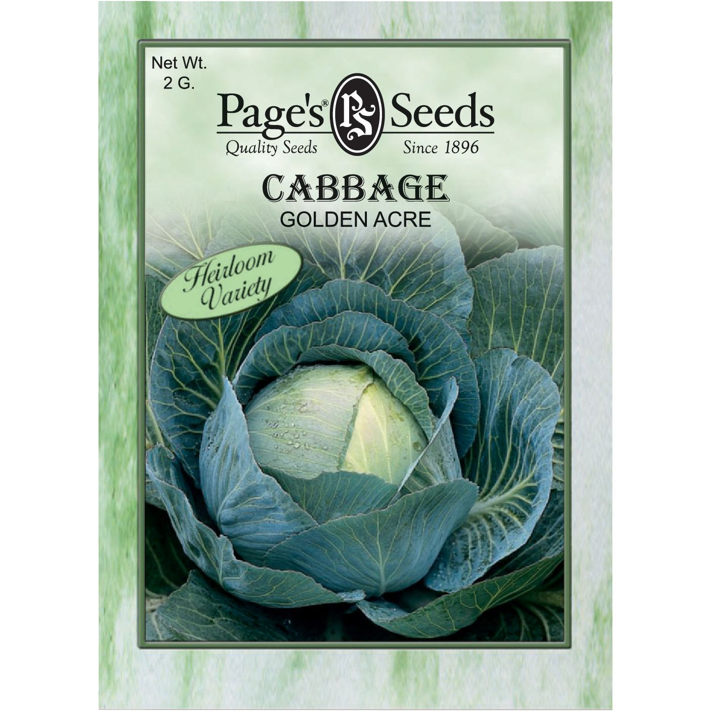 Cabbage Golden Acre Seed Heirloom - 1 Packet - Seed World