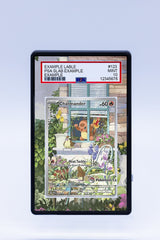 Charmander PROMO 044 (Graded) Case