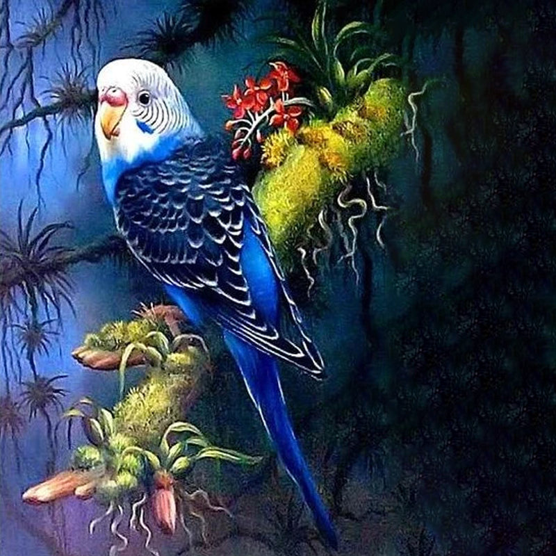 parrot at night jigsaw puzzle Canada