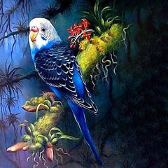 parrot at night jigsaw puzzle Canada