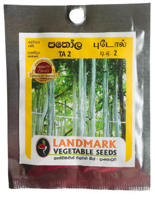 Snake Gourd (TA - 2)