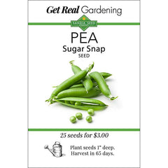 Pea - Snap Sugar Snap Pea Garden Seeds - Crisp and flavorful. Easy to grow