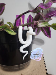 Snake "Pot Sitter", Snake Plant Buddy Pot Sitter