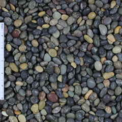 Polished La Paz Mexican Beach Pebbles