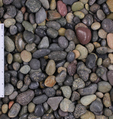 Polished La Paz Mexican Beach Pebbles