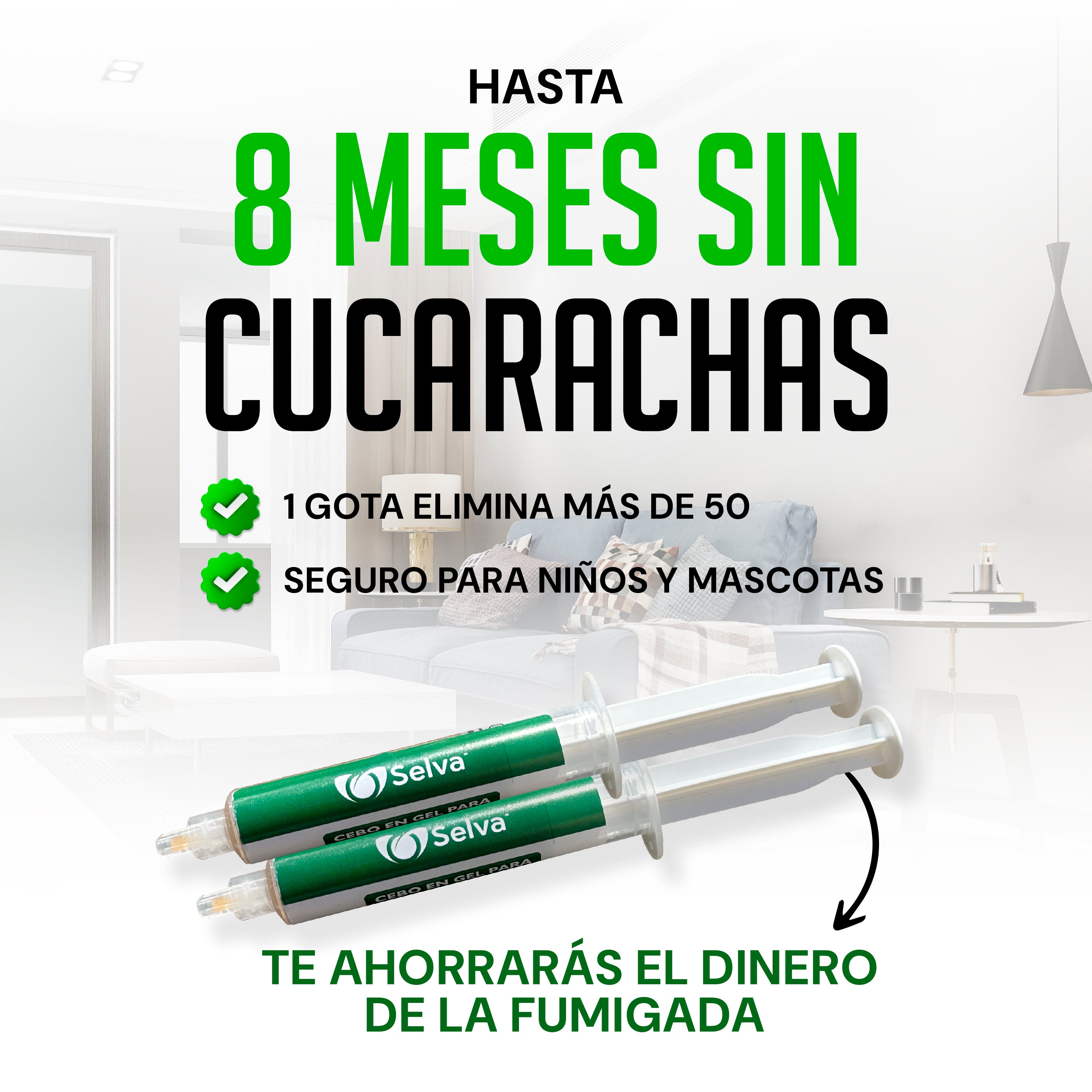 Selva: Cebo para eliminar cucarachas desde la ¨raíz¨ TT