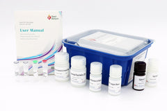 Mouse LAMP1 (Lysosomal Associated Membrane Protein 1) ELISA Kit